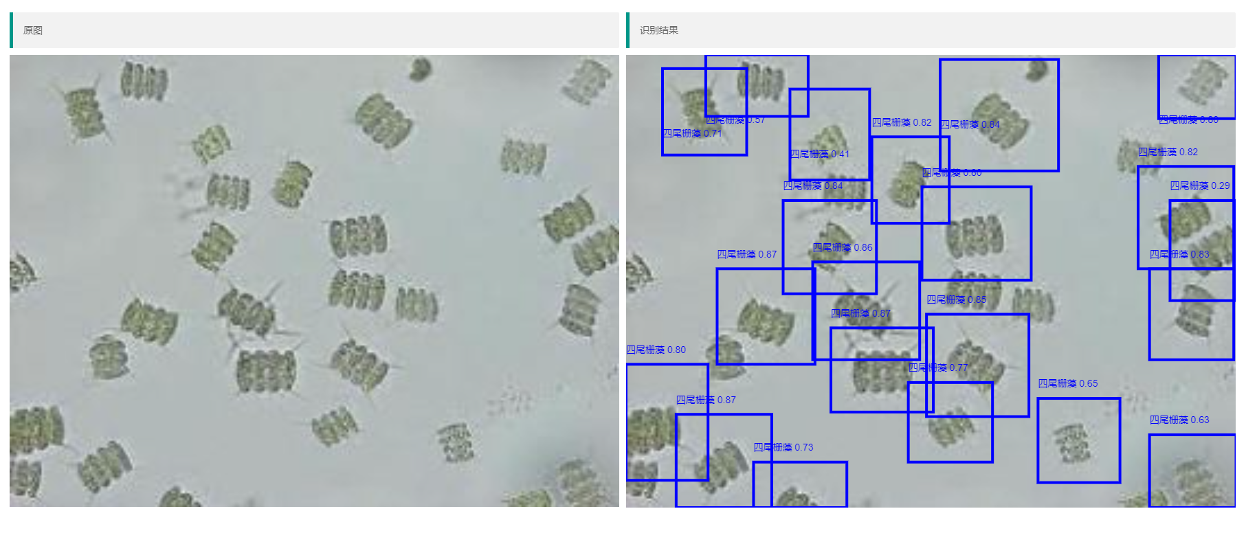 f_431ac5ade82af761bf3b7e596d50dad2.png 中国环科院基于深度学习的藻类识别系统