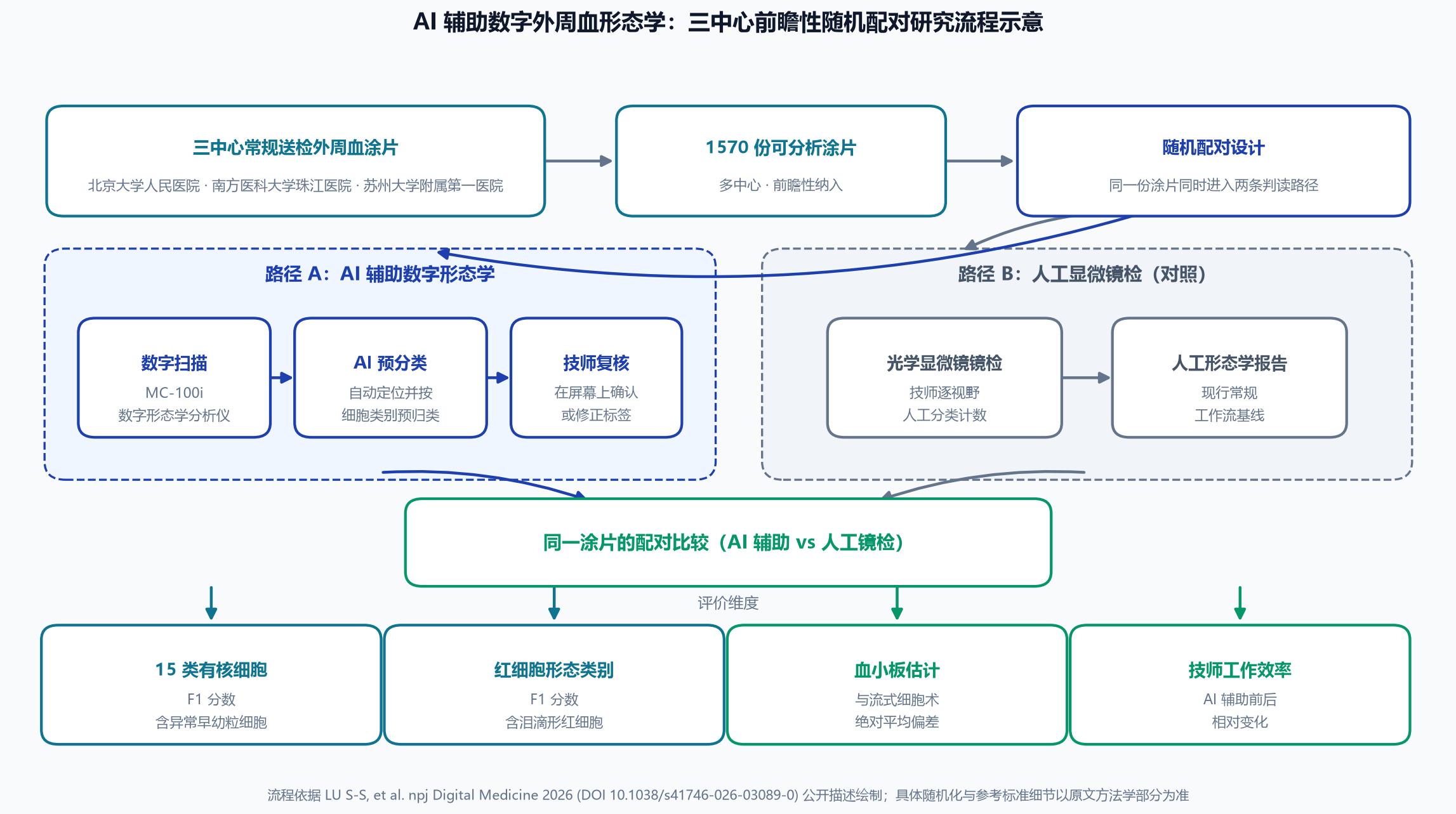 技术流程示意图：三中心常规外周血涂片经1570份样本纳入随机配对设计，同一份涂片分别进入MC-100i数字扫描-AI预分类-技师复核路径，以及传统光学显微镜-人工分类路径，最终对15类有核细胞、红细胞形态、血小板估计和工作效率进行配对比较