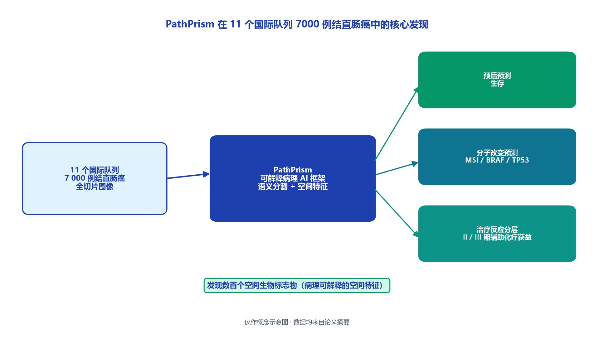 一张结果关系示意图：以11个队列、7000例结直肠癌患者为数据底座，向上连接PathPrism框架，再分出生存预测、MSI/BRAF/TP53突变预测与化疗获益分层三条支线，仅呈现概念关系，不含精确坐标或统计数字，仅作概念示意图