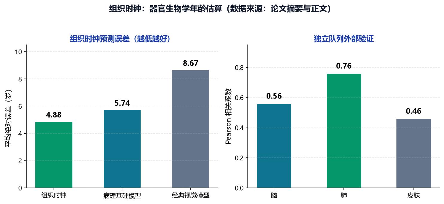 一张结果关系示意图：底部为25712张病理切片、40种组织的GTEx数据底座，向上连接组织时钟，分出预测误差4.9岁、外部验证相关性与血液预测8种疾病三条支线，仅呈现概念关系与已核验的少量数字，不含精确坐标，仅作概念示意图